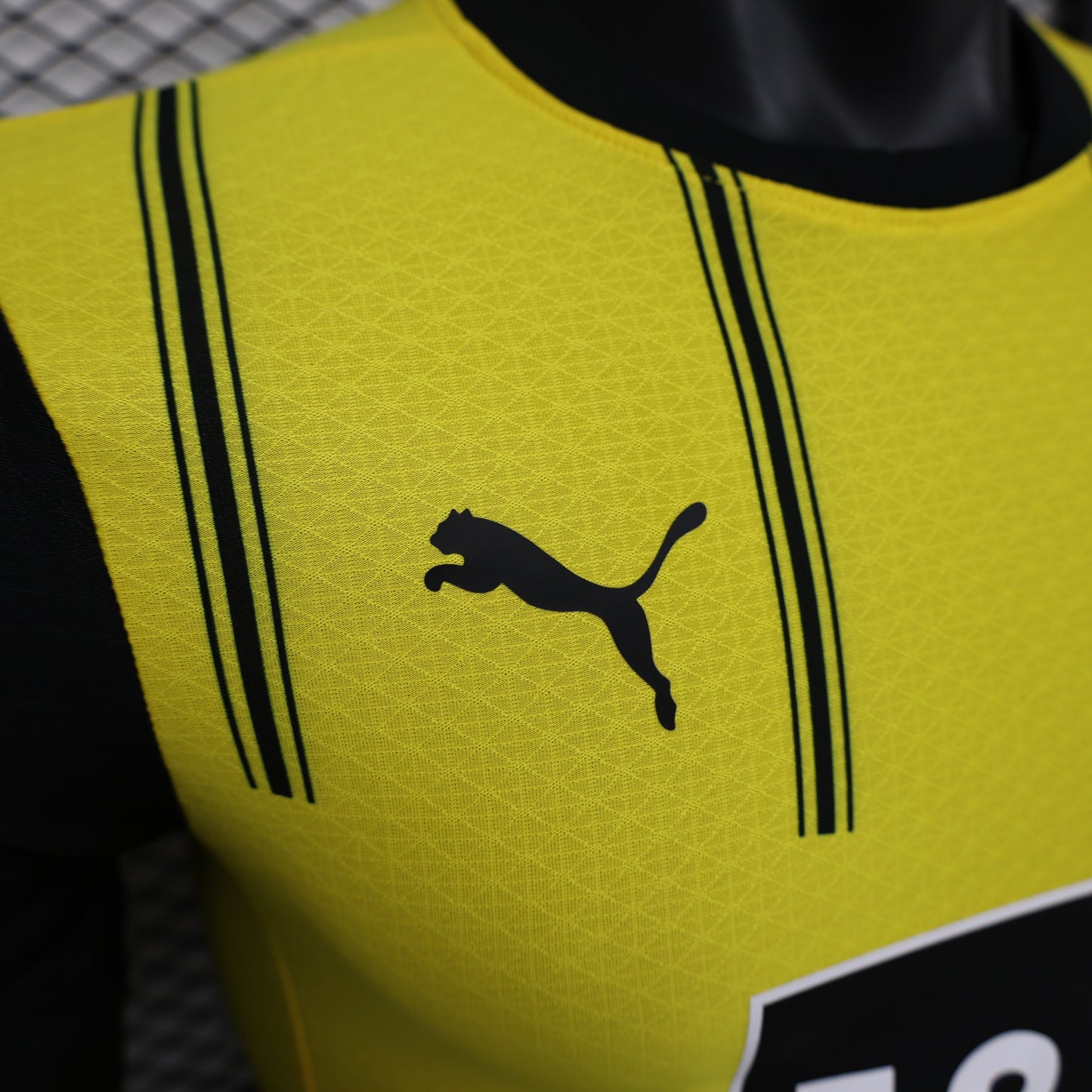 Borussia Dortmund Home Shirt 2024/25